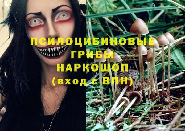 ГАЛЛЮЦИНОГЕННЫЕ ГРИБЫ Краснослободск