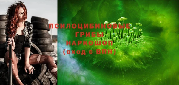 ГАЛЛЮЦИНОГЕННЫЕ ГРИБЫ Краснослободск